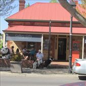 by copperowl, Views[319]