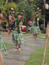 by copperowl, Views[281]