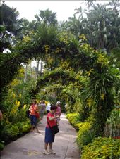 by copperowl, Views[280]