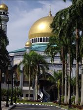 by copperowl, Views[277]