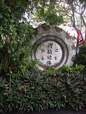 by copperowl, Views[262]