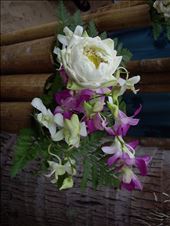 by copperowl, Views[240]