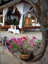 by copperowl, Views[306]