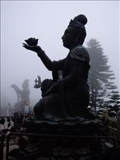 by copperowl, Views[316]