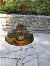 by copperowl, Views[267]