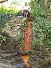 by copperowl, Views[255]