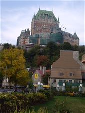 by copperowl, Views[260]