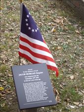 by copperowl, Views[229]