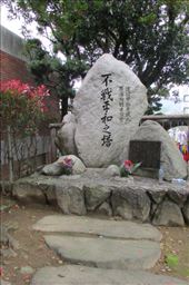 by copperowl, Views[287]