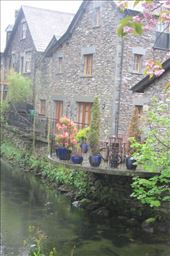 by copperowl, Views[301]