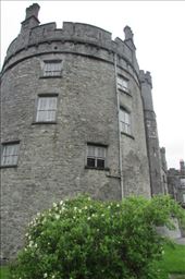 by copperowl, Views[293]