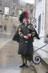 by copperowl, Views[252]