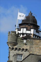 by copperowl, Views[244]