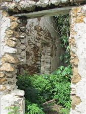 by copperowl, Views[324]