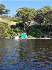 by copperowl, Views[412]