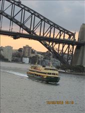 by copperowl, Views[243]