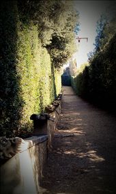 Boboli Gardens: by copperwire1, Views[233]