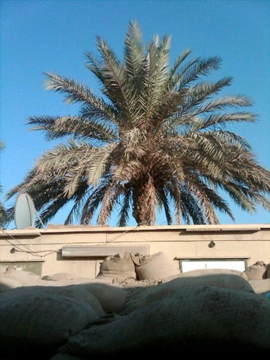 From right outside my CHU..a bunker, and an incredible BLUE sky and date palm
