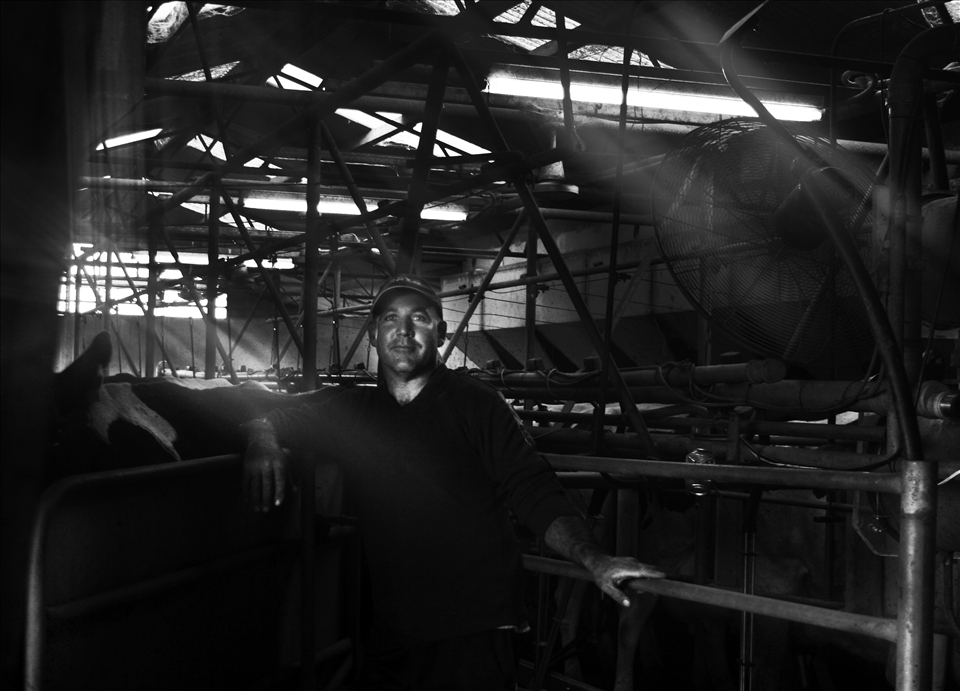 Following the family tradition gives rise to a sense of pride. 