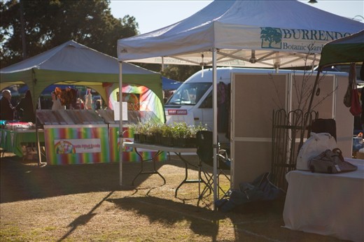 It's still early morning for the locals in the small country town of Wellington, winter is a cold one as well. The local plant stall sits empty, waiting for someone, anyone to purchase its small offerings. 