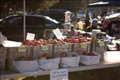 This local fruit producers stall sits unaccompanied up the back with few visitors. Next month the man will be sure to change his allocated spacing in want for more visitors and passersby.: by cpas3675, Views[316]