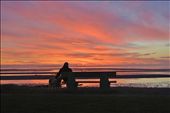 mans best-friend: by cpearlmac, Views[328]