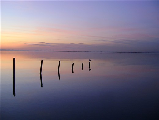 peace & serenity, waiting in the calm