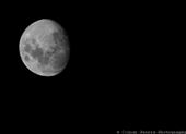 Waning Gibbous Moon in Johannesburg: by cpeters, Views[248]