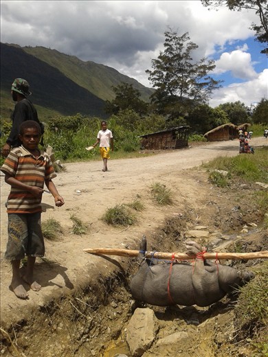Gateway to the hills. The pig was alive, an unsteady footbridge. 