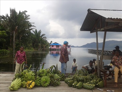 Danau Sentani. Papua. Indonesia. Loading up to bring to the mountains. 