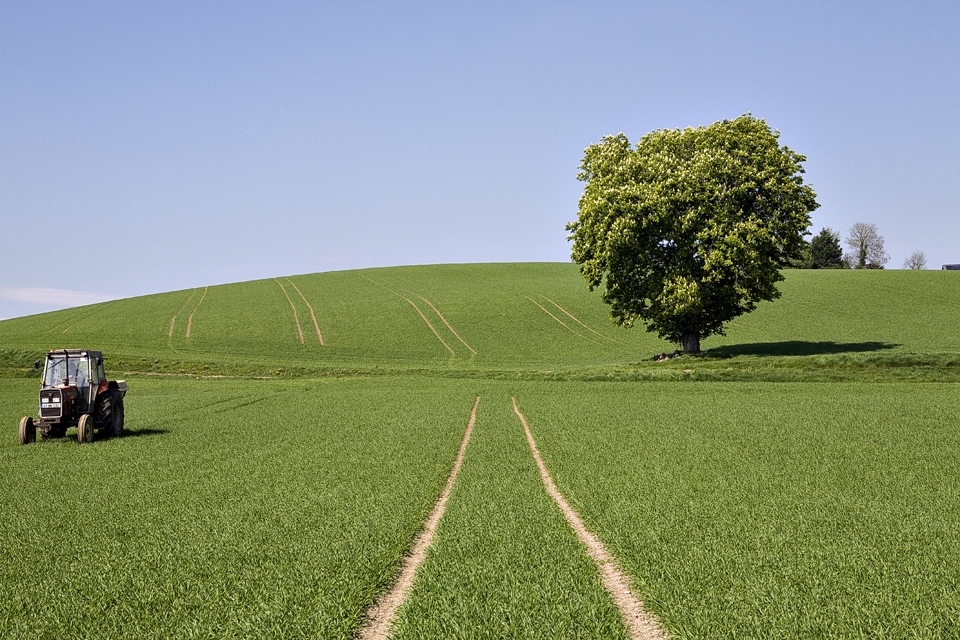 John spreads fertiliser on his crop of barely to help it grow. It will take a further 5 mths before it is ready to harvest. It is a relatively easy task now with machinery, in comparison to 50years ago. 

