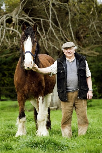John Keegan (tillage-cropping farmer) stands with pride beside his Clyde’s Dale horse. These are very strong horses which were used by his father when he was farming. They were an invaluable asset to the farmers before the introduction of machinery. John's father used to plough the fields with 2 horses. He tells me that you could plough an acre a day and he reckons you would walk 36 miles in the acre. His father had 30 acres to plough and it took him 9 weeks to finish.