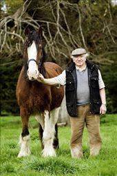 John Keegan (tillage-cropping farmer) stands with pride beside his Clyde’s Dale horse. These are very strong horses which were used by his father when he was farming. They were an invaluable asset to the farmers before the introduction of machinery. John's father used to plough the fields with 2 horses. He tells me that you could plough an acre a day and he reckons you would walk 36 miles in the acre. His father had 30 acres to plough and it took him 9 weeks to finish.: by craigd999, Views[1567]
