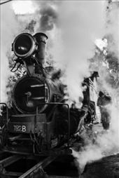 engineers prepping up the engines early in the morning as a part of daily examination. a huge cloud of steam was formed that covered up the entire surroundings. : by crazartist, Views[315]