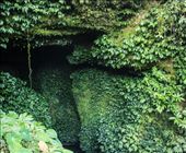 by crazartist, Views[190]