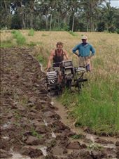 by crazyblondeabroad, Views[211]