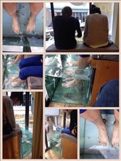 by crazyblondeabroad, Views[206]