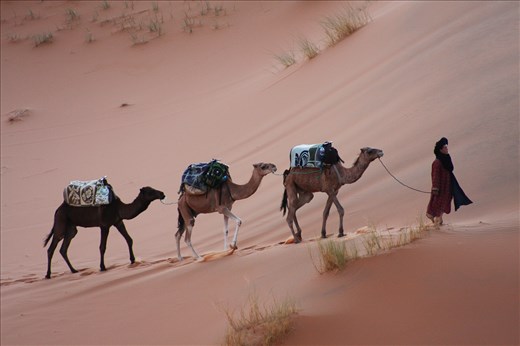 As the light of the day fades away, our caravan approaches camp.