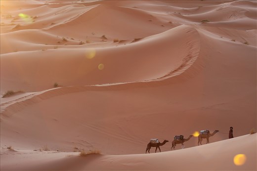 As the sun begins to set, we take to foot while our camels trek the steep dunes