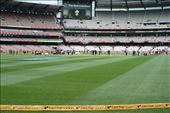 Turf is my praying rug: by cricket, Views[138]