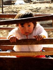 Niña: by crishno, Views[256]