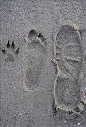 Existence: by cristi, Views[193]