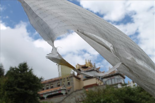 Tibet, 佛教. Buddhism is the main religion in China, but Dalai Lama is in India.