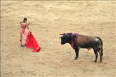 The last step. //

Bullfighting is culmination of the festival embodying all its contrasts. Here two meets, but there can be only one. 
It has lots of opponents around the world and exactly in Spain. But each afternoon of 9-day blood marathon Pamplona bullring (one of the largest on global map) gains about 19 000 people.
: by cristinedelamer, Views[342]