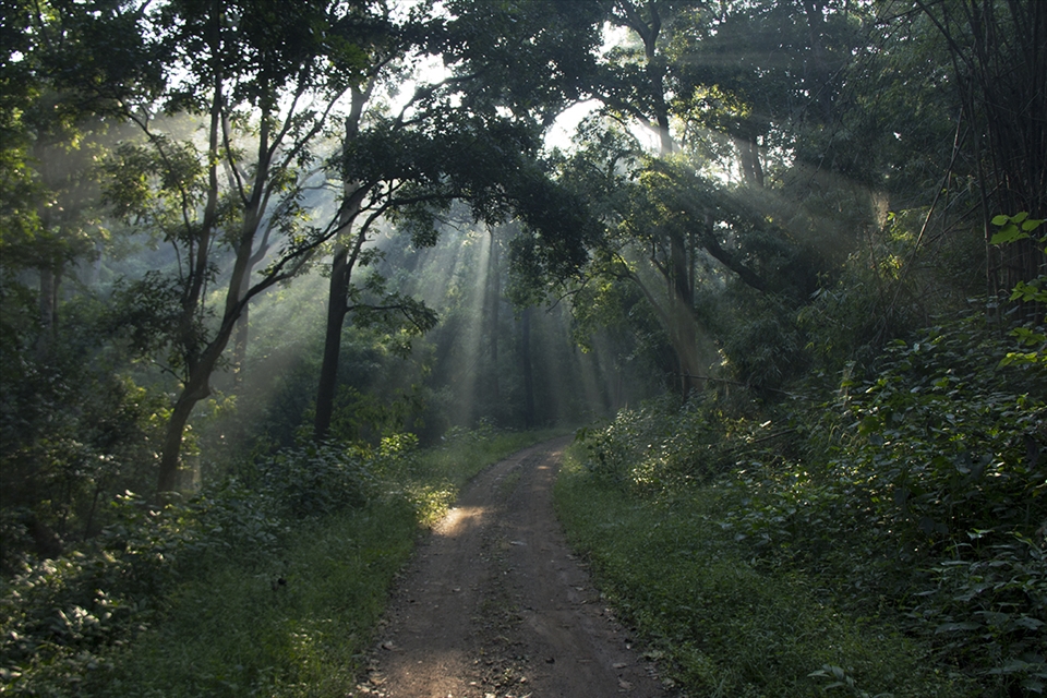 the sunlight was welcoming us while we started our first day safari. 