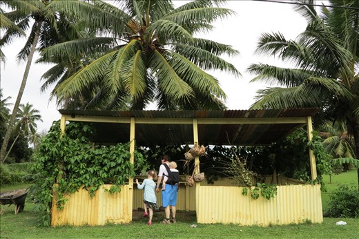 Loads of roadside huts, some with coconuts to sell.  Some empty, like this one. Rarotonga.