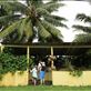 Loads of roadside huts, some with coconuts to sell.  Some empty, like this one. Rarotonga. Views[316]