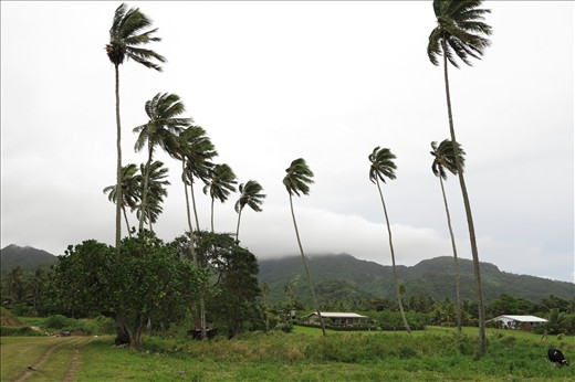 It looks like Jurassic Park!