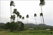 It looks like Jurassic Park!: by crustyadventures, Views[376]