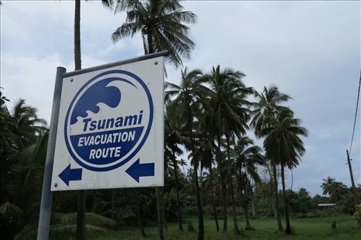 These tsunami signs appear every few hundred metres around Rarotongas ring road, pointing to higher ground
